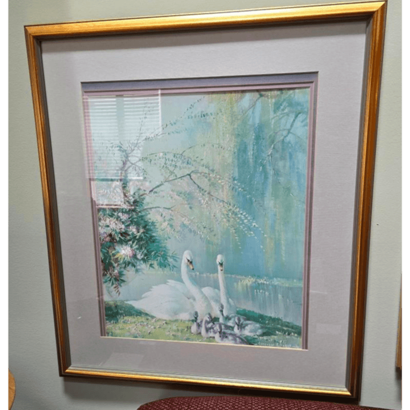 Framed Swan Family Artwork