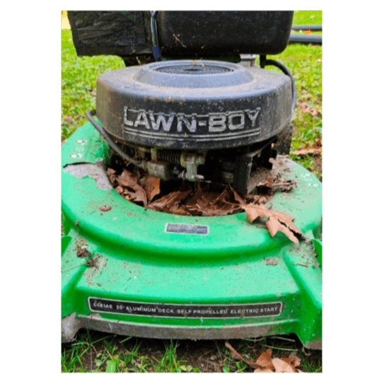 Vintage Lawn-Boy Push Mower - Classic Green Design
