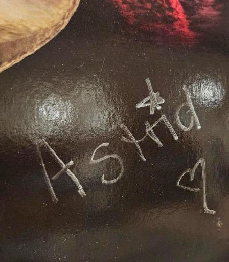 Limited Edition Signed Vinyl: ANIMOTION - Raise Your Expectations