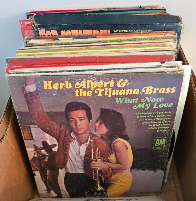 Large Vinyl Record Collection