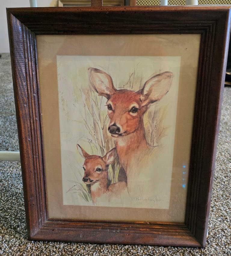 Framed Print
