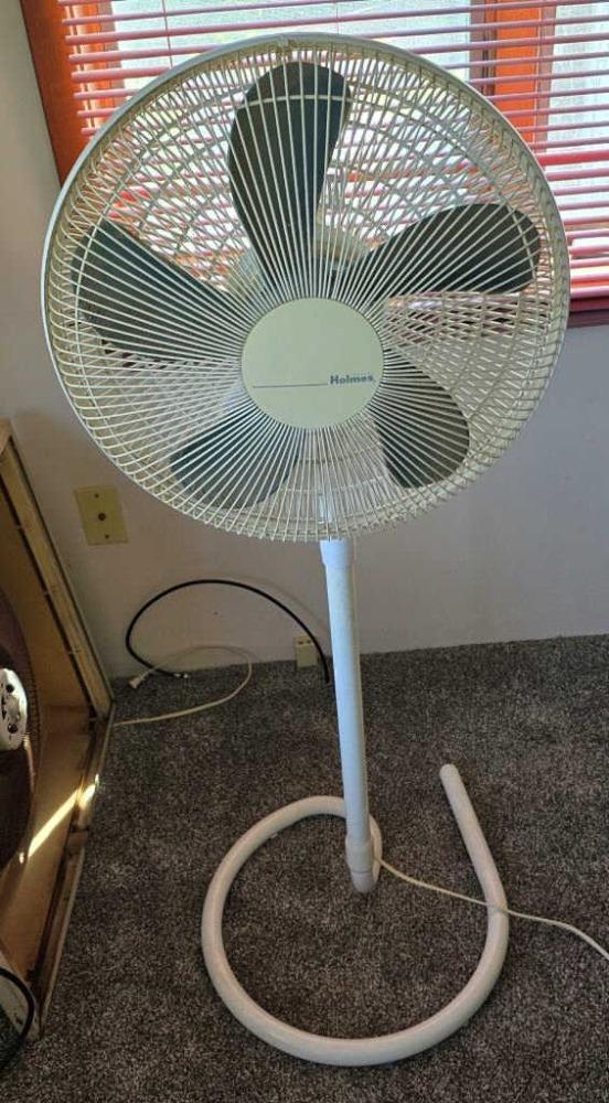 Electric Fan