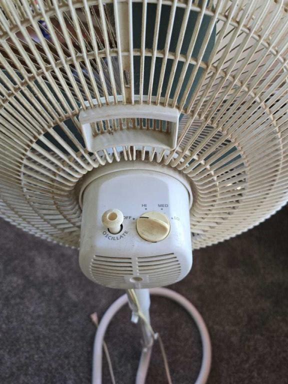 Electric Fan