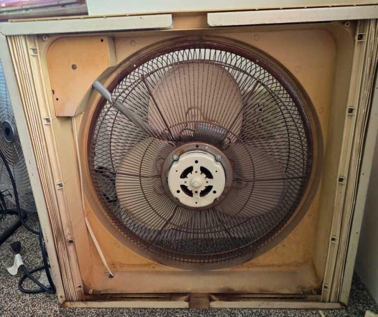 Electric Fan