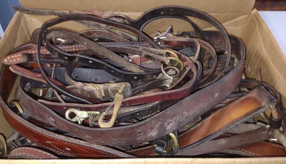 Leather Straps Horse Equipment