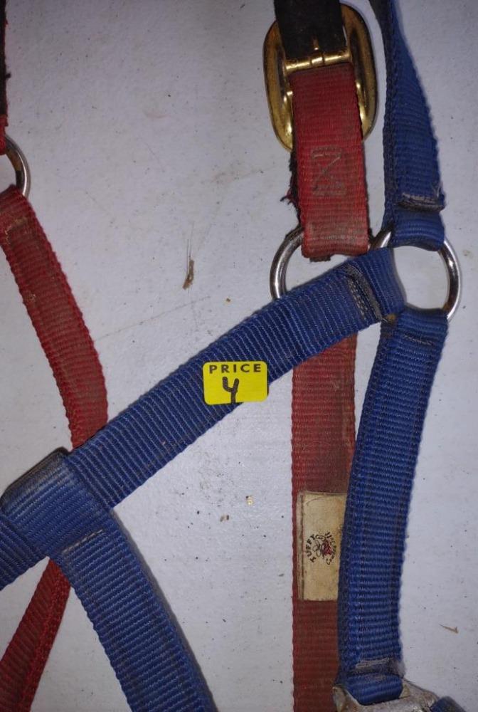 Halters - 2
