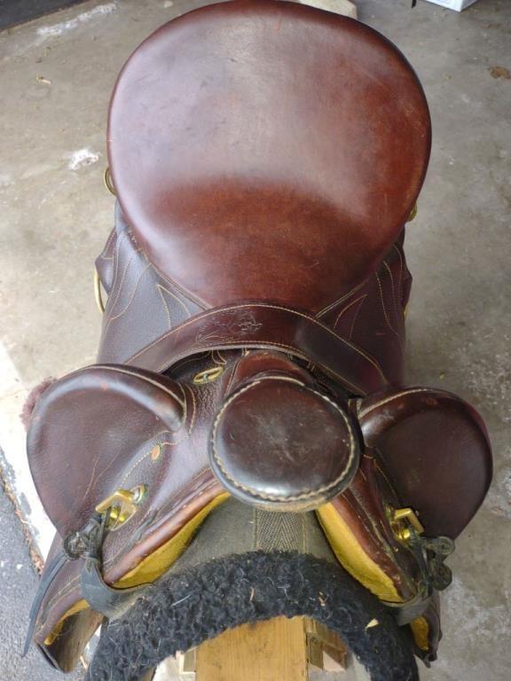 Circle Y Western Saddle