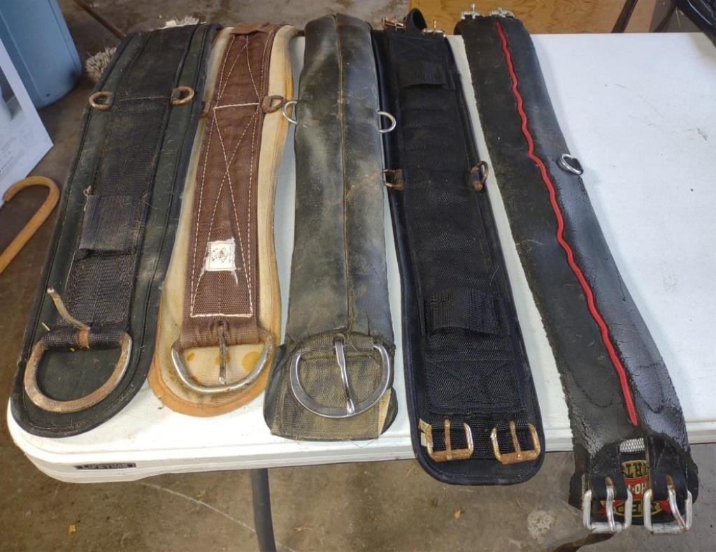 Horse Girths - 5