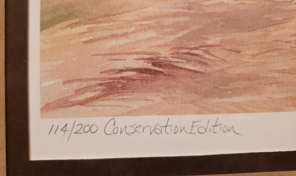 Ned Smith - Sunset Woodcock - Print 114 of 200