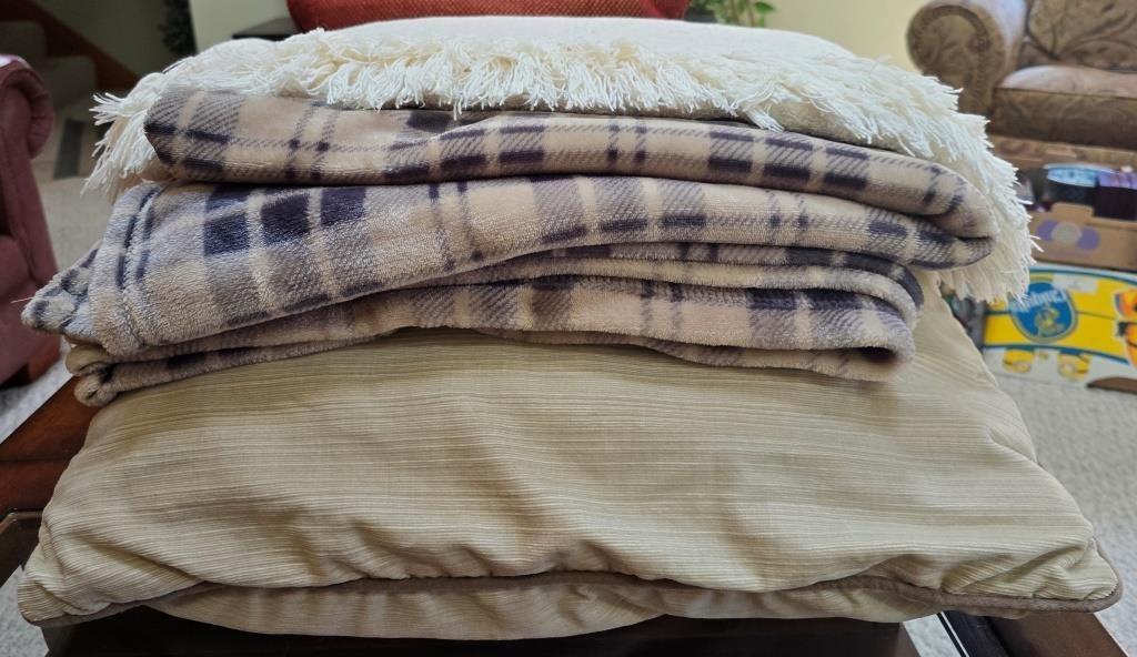 Plush Cushions and Plaid Blankets
