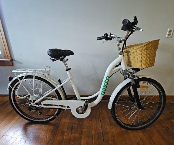 Electric Bicycle